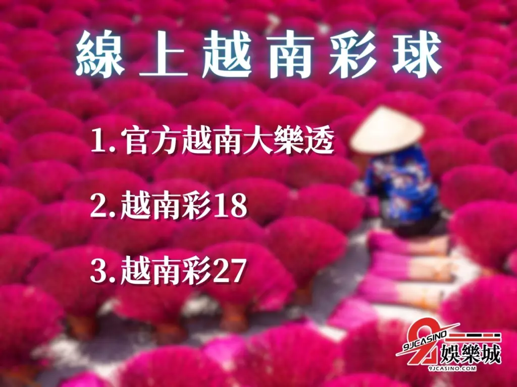 線上越南彩 越南彩券開獎 越南大樂透
