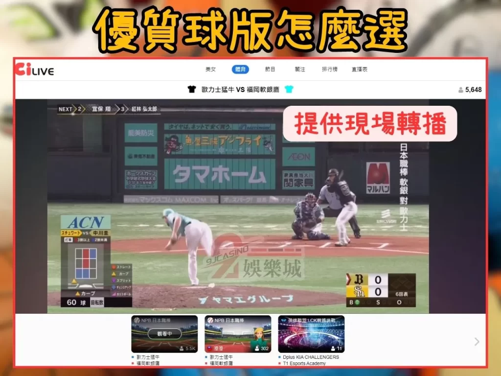 球版種類 球版怎麼選 9J娛樂城
