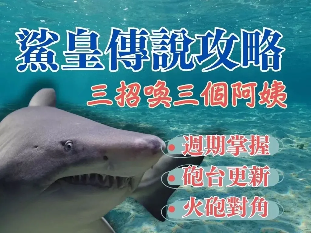 捕魚機賺錢 線上捕魚 捕魚機週期預測