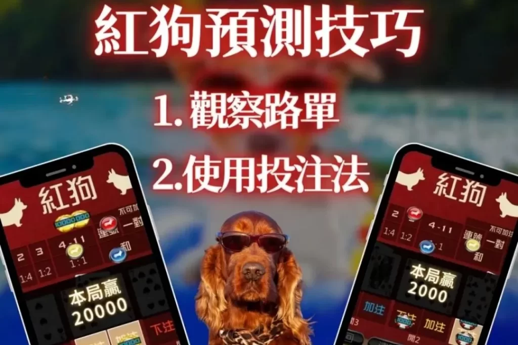 線上紅狗 紅狗撲克牌賺錢 9J娛樂城撲克牌推薦